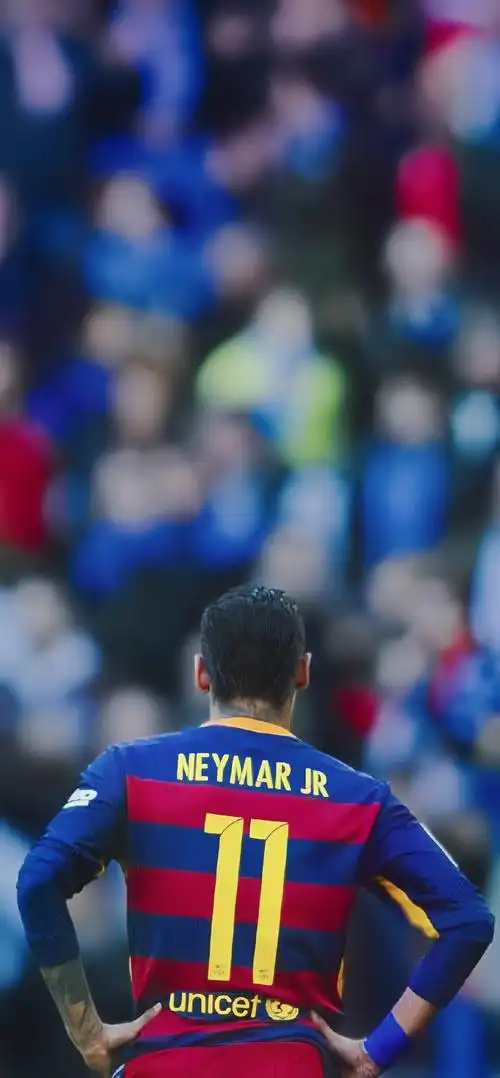 这篇文章将 这篇文章将